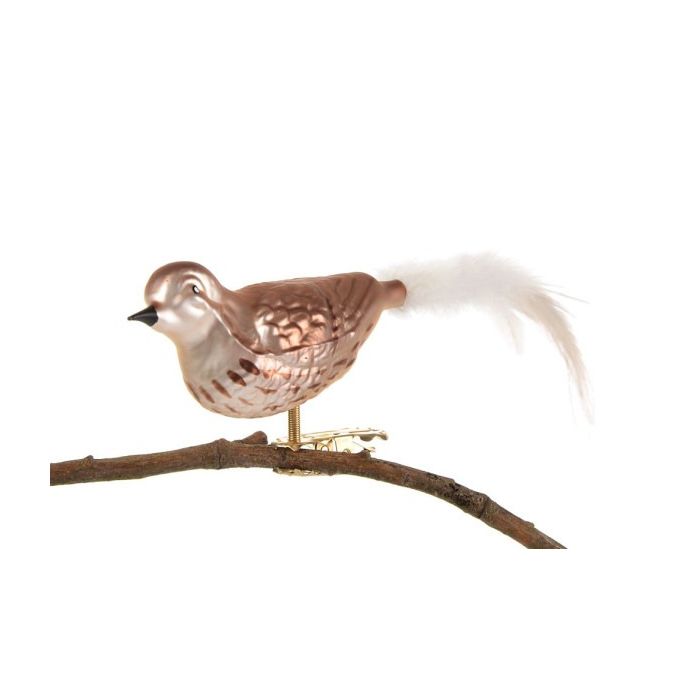 Fugl i glas med klips Sangdrossel set fra den anden side