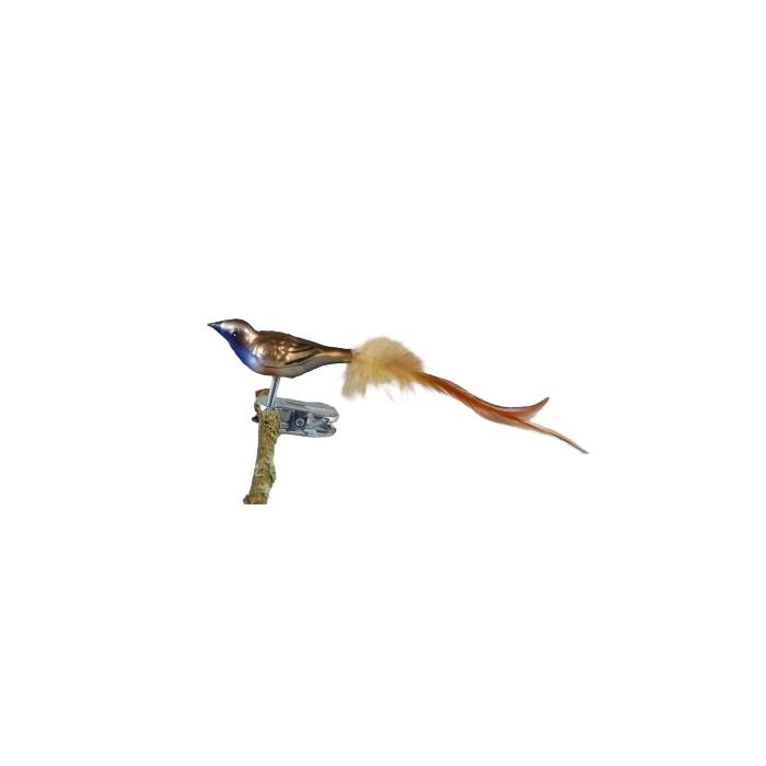 Fugl i glas med klips Blåhals