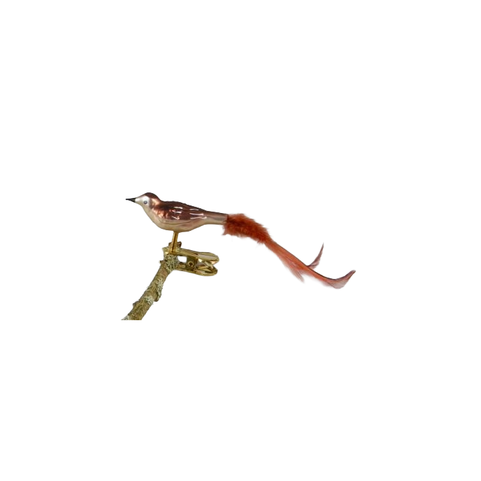 Fugl i glas med klips Nattergal