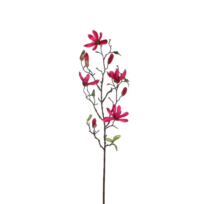 Magnolia mørk pink