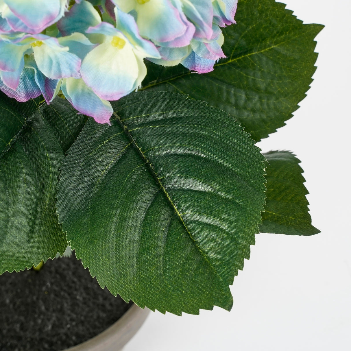 Kuntige grønne blade på hortensia fra Mica Decorations