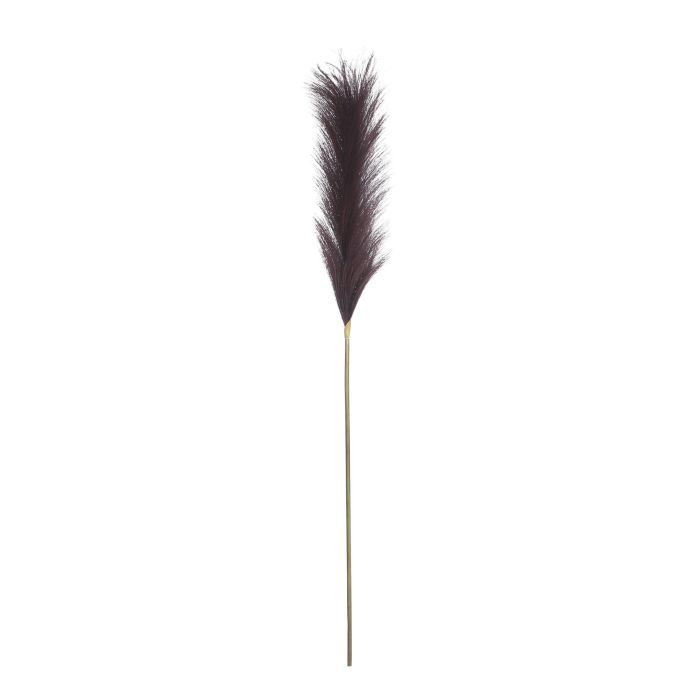 Plume græs lilla