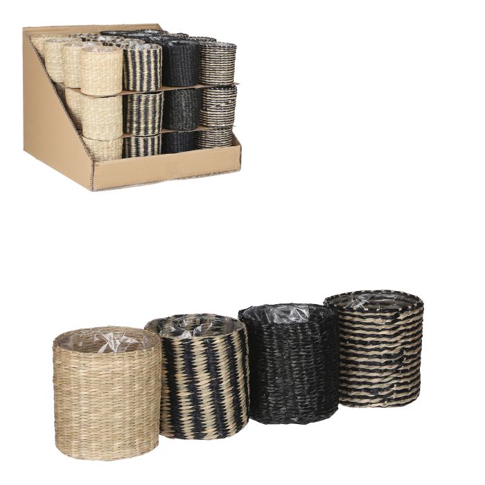 Alexis kurveurtepotte