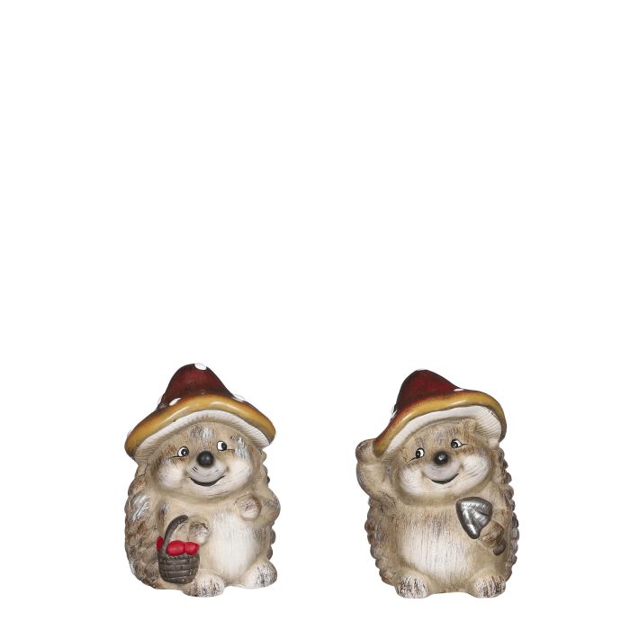 Pindsvin med svampehat