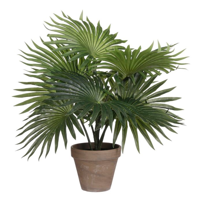 Palme 40 cm høj