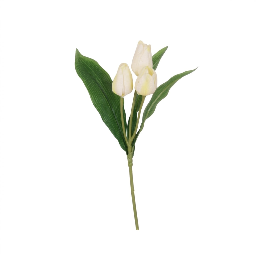 Tulipanstilk med 3 blomster