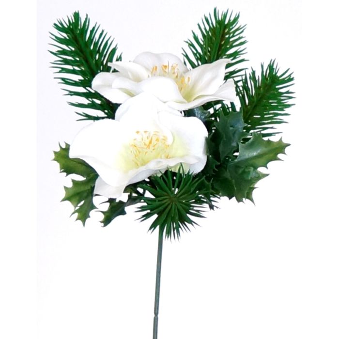 Julerose Helleborus med gran