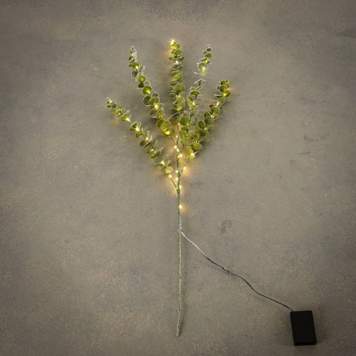 Gren med lys indendørs brug grøn