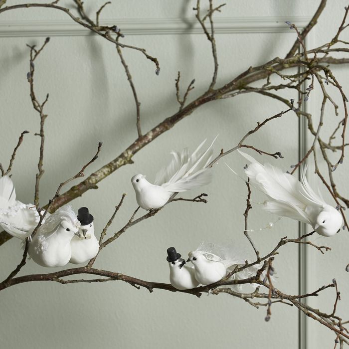 Hvid fugl med fjerhale og klips