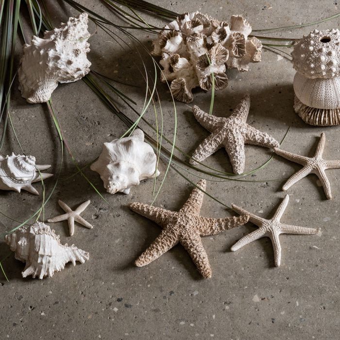 Speedtsberg Søstjerner sæt med 3