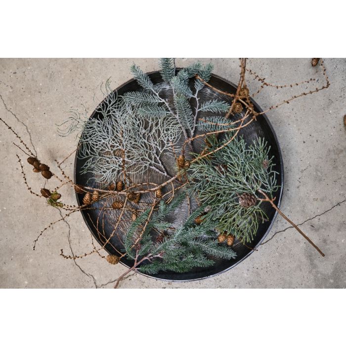 Cedergren med sne og kogler 38 cm høj