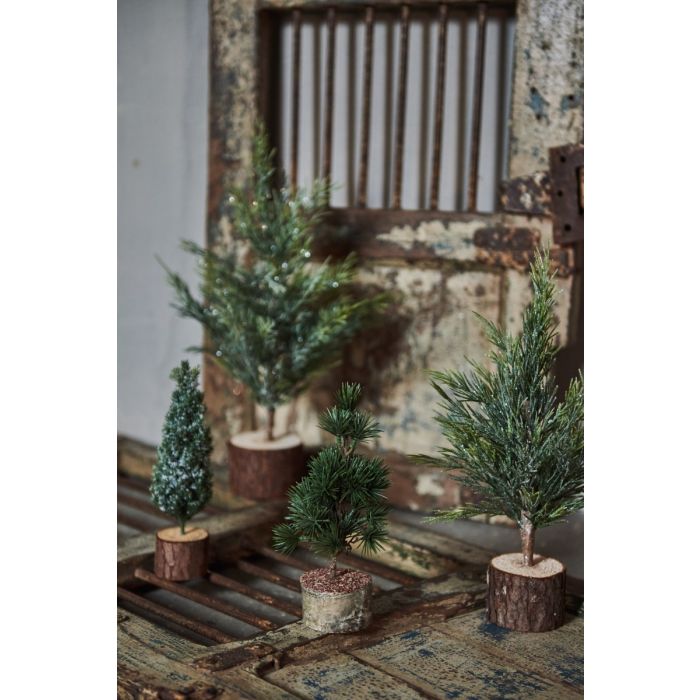 Cedertræ med fod 22 cm højt