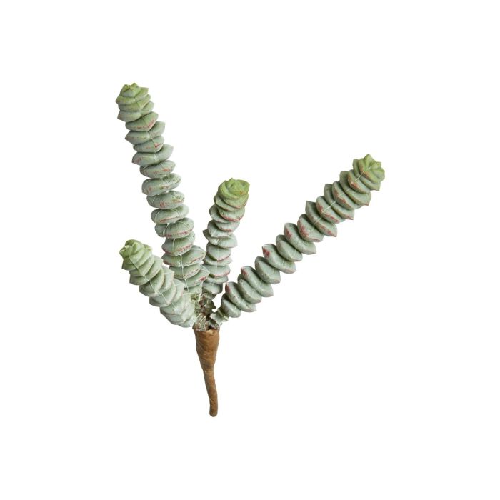 Sukkulent 4 stilke 15 cm
