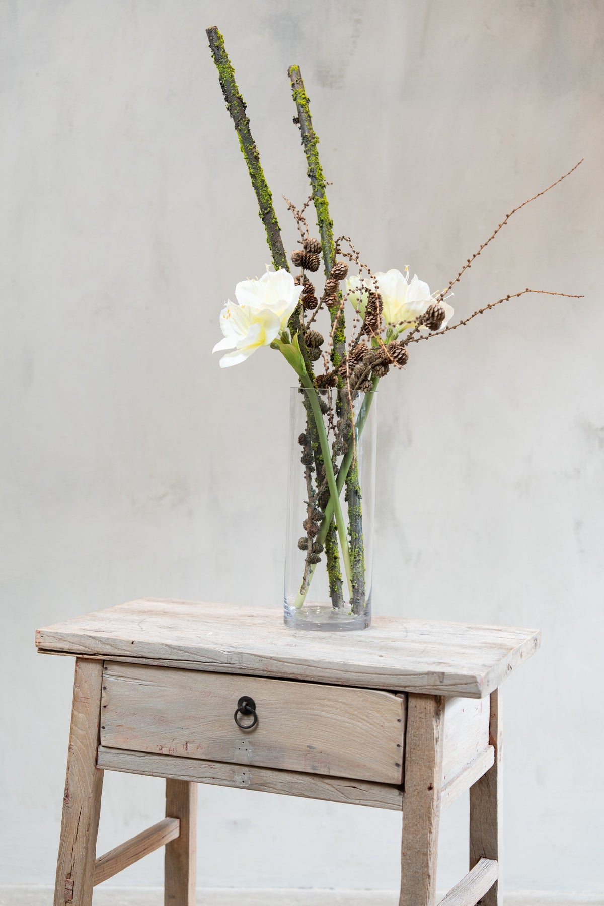 Cylinderglasvase med amaryllis, koglegrene og mosgrene i
