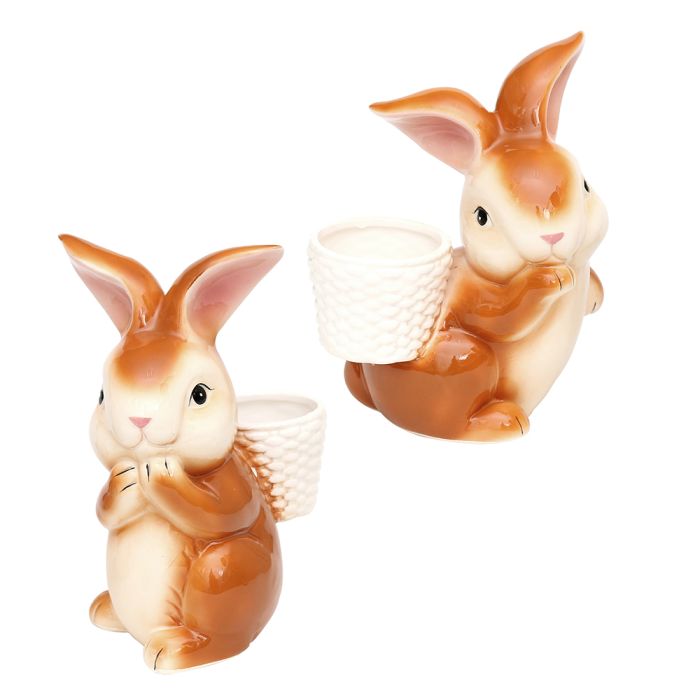 Hare med mini-urtepotte