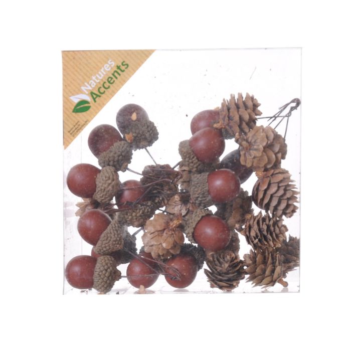 Brune agern og grankogler på wire