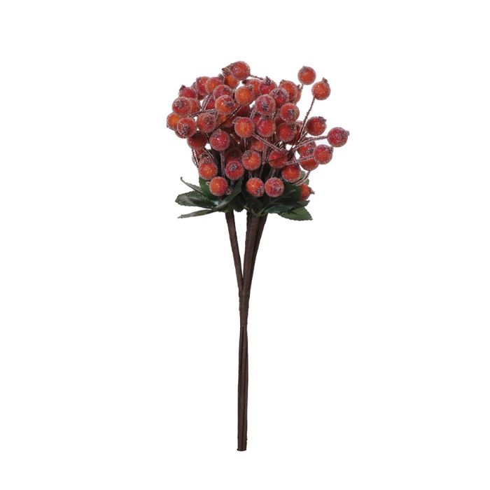 Buket med orange bær