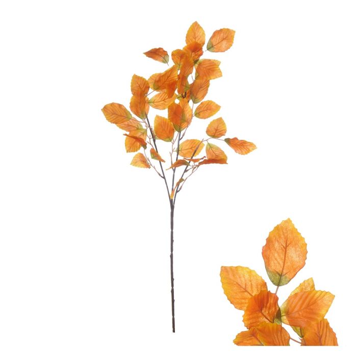 Gren med orange bøgeblade