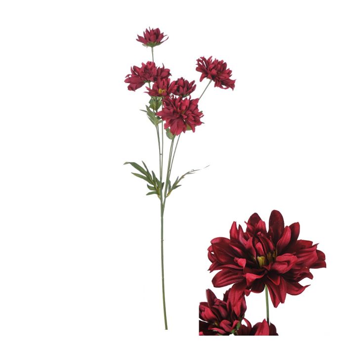 Blomsterstilk Krysantemum rød