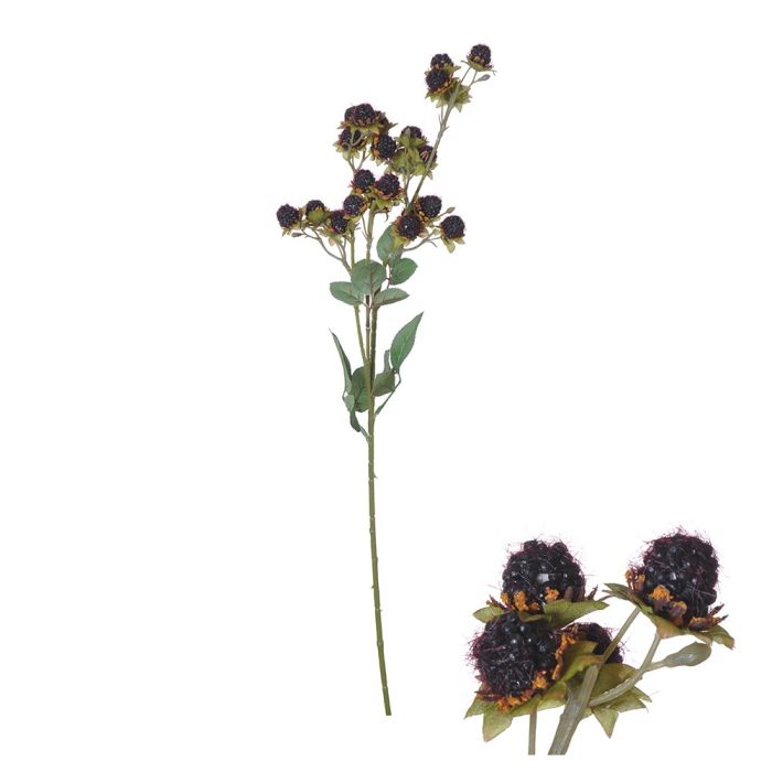 Stilk med mørklilla vilde jordbær