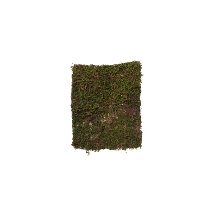 Mosstykke 28 cm x 35 cm