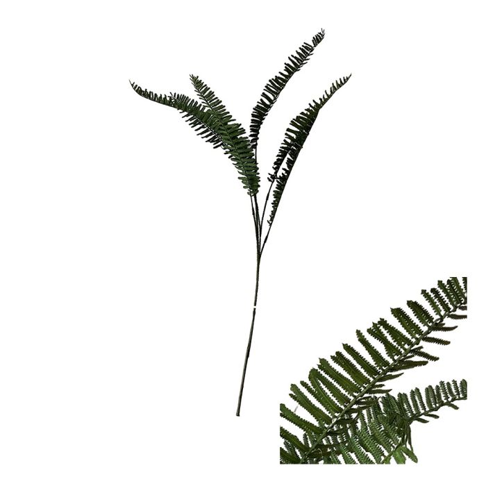 Stilk med bregneblade