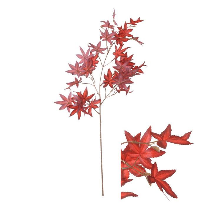 Gren med ahornblade i rød