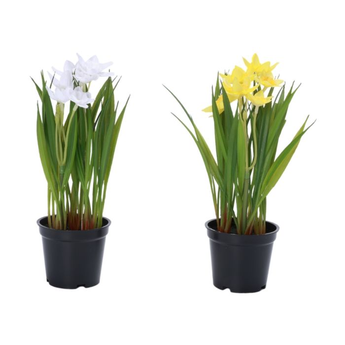 Påskeliljer i potte