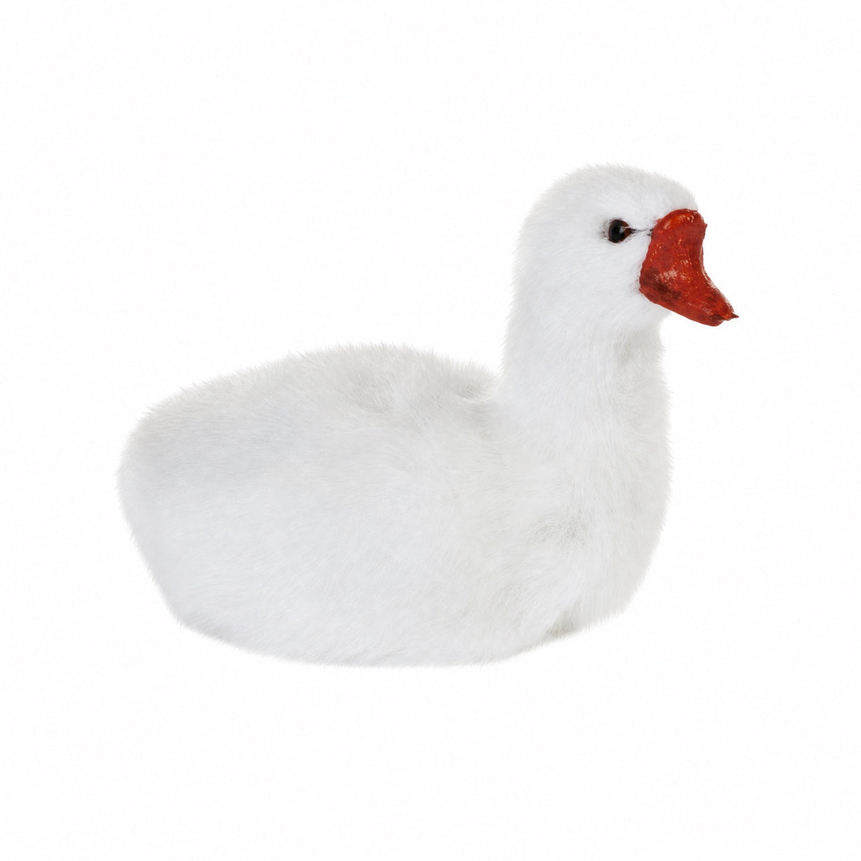 Hvid svane