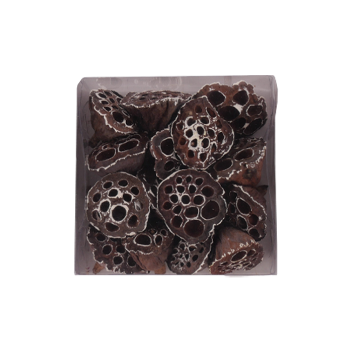 Lotusskaller med lidt hvidt sne