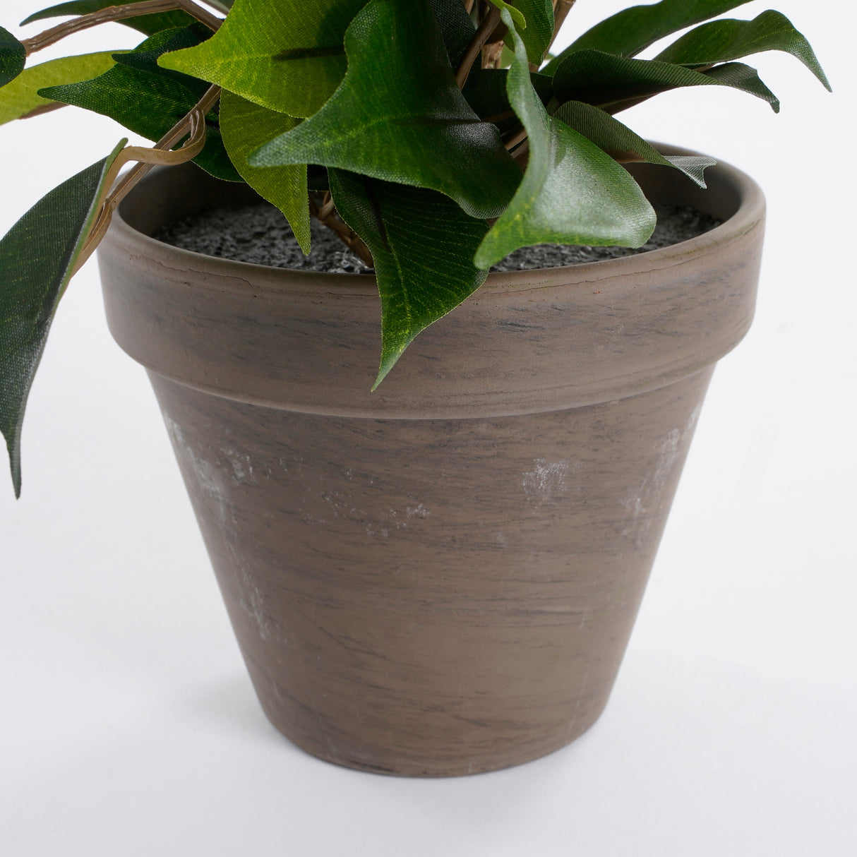 Urtepotte på Ficus Natasja plante kunstig fra Mica Decorations
