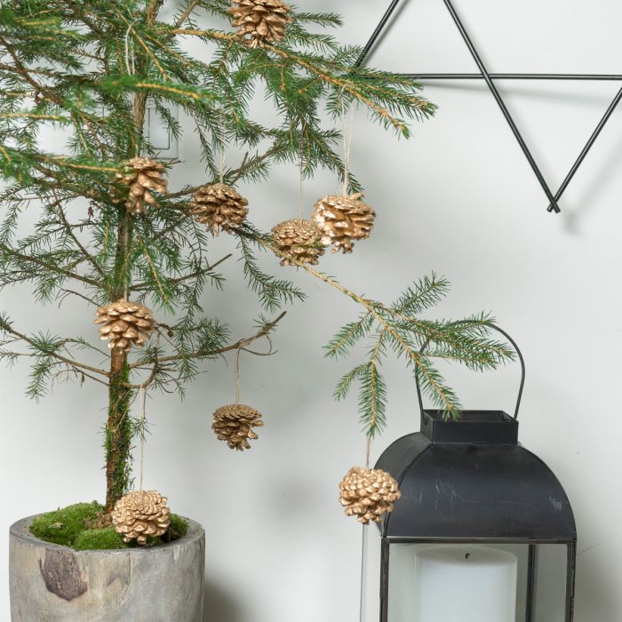 Kogler med snor 12-pak guldfarvede