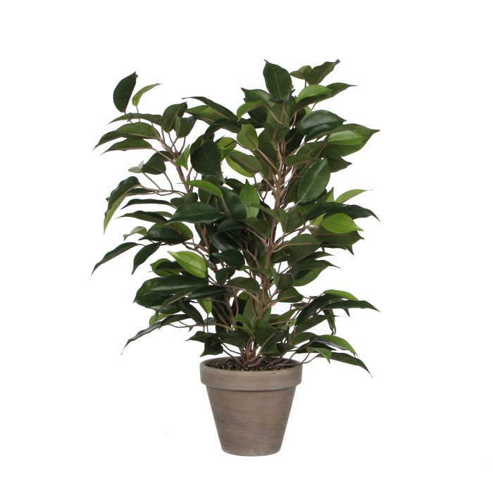Ficus Natasja plante kunstig