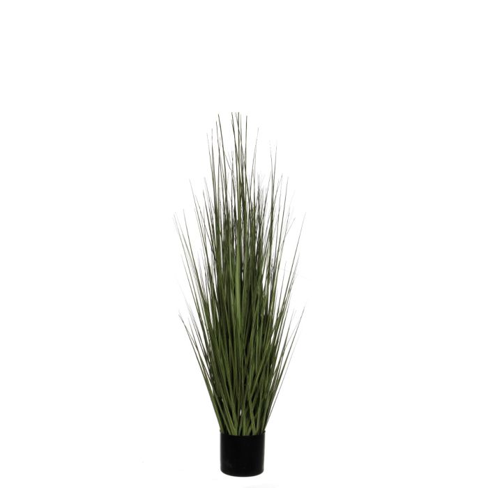 Græsser 122 cm høj