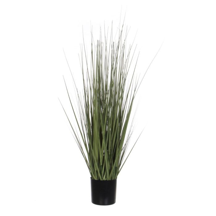 Græsser 92 cm høj