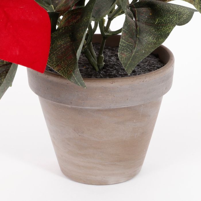 Rød julestjerne 25 cm høj