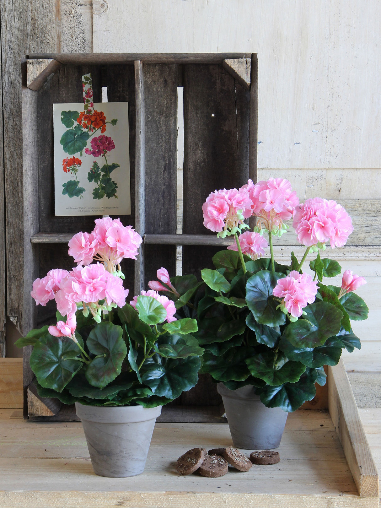 To lyserøde kunstige pelargonier på bord