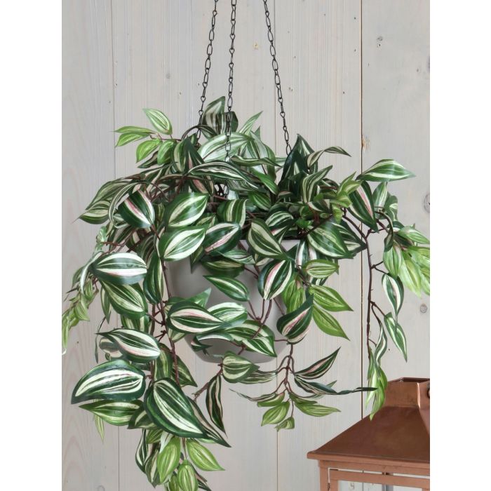 Tradescantia kunstig hængeplante
