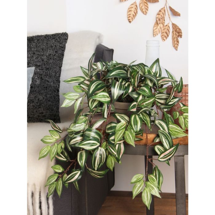 Tradescantia kunstig hængeplante