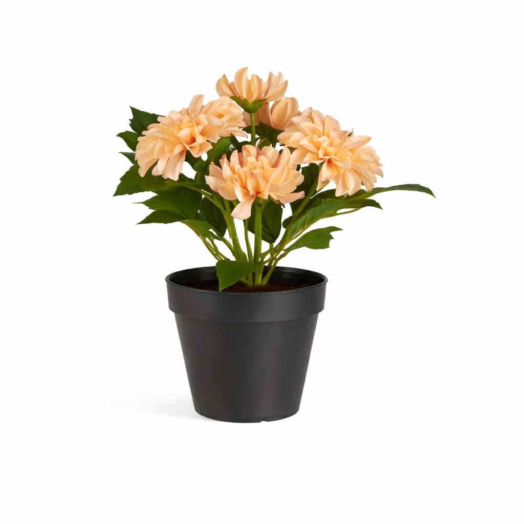 Kunstig lys ferskenfarvet Dahlia fra Ib Laursen i sort urtepotte