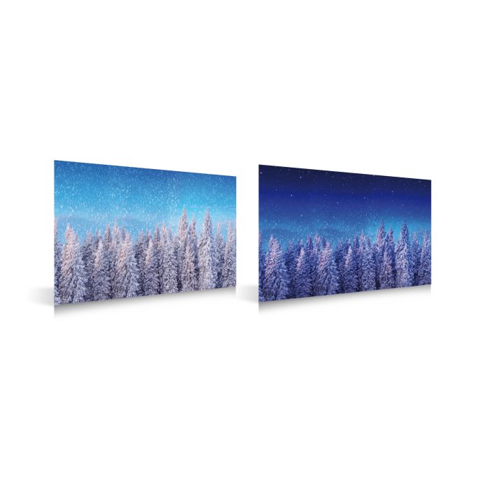 Backdrop with snowy trees