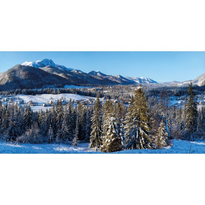 Baggrund med vinterby 150 x 75 cm