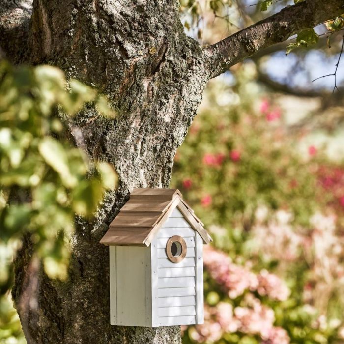 Ib Laursen fuglehus i hvidt fyrretræ hængende på træ