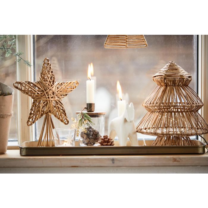 Ib Laursen Topstjerne Cane