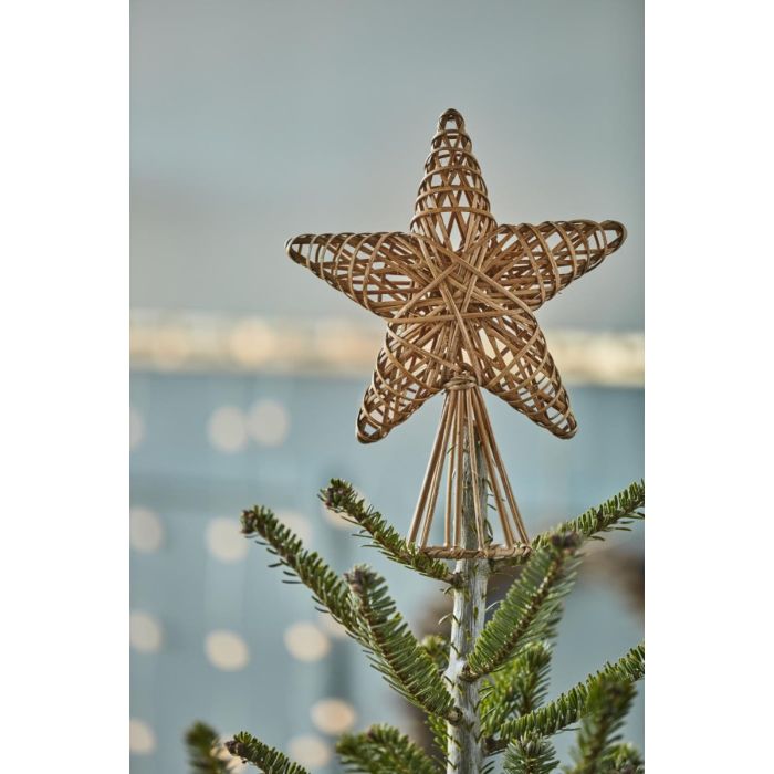 Ib Laursen Topstjerne Cane