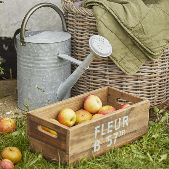 Vandkande med spreder 11 l zink