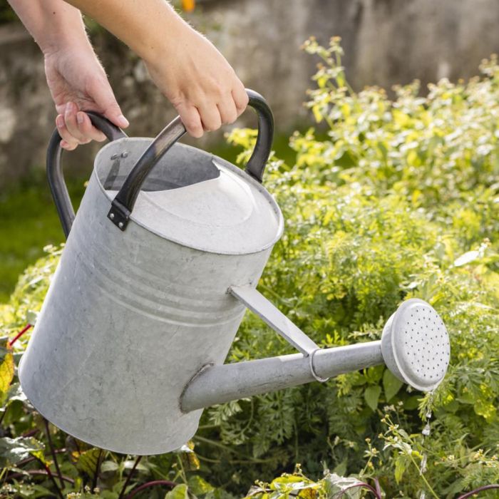 Vandkande med spreder 11 l zink