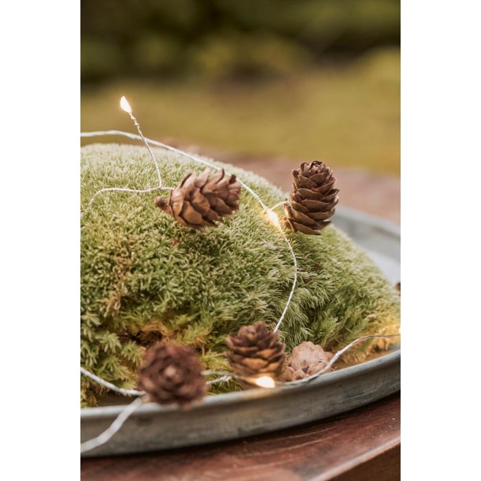 Lyskæde med 10 LED-lys og kogler