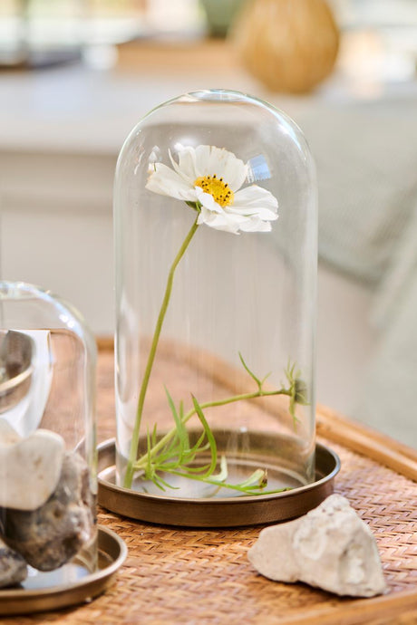 Glasklokke med blomst indeni