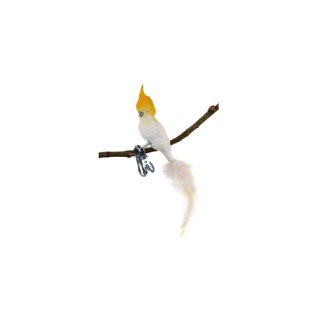 Kakadue på klips